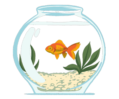 Animated goldfish