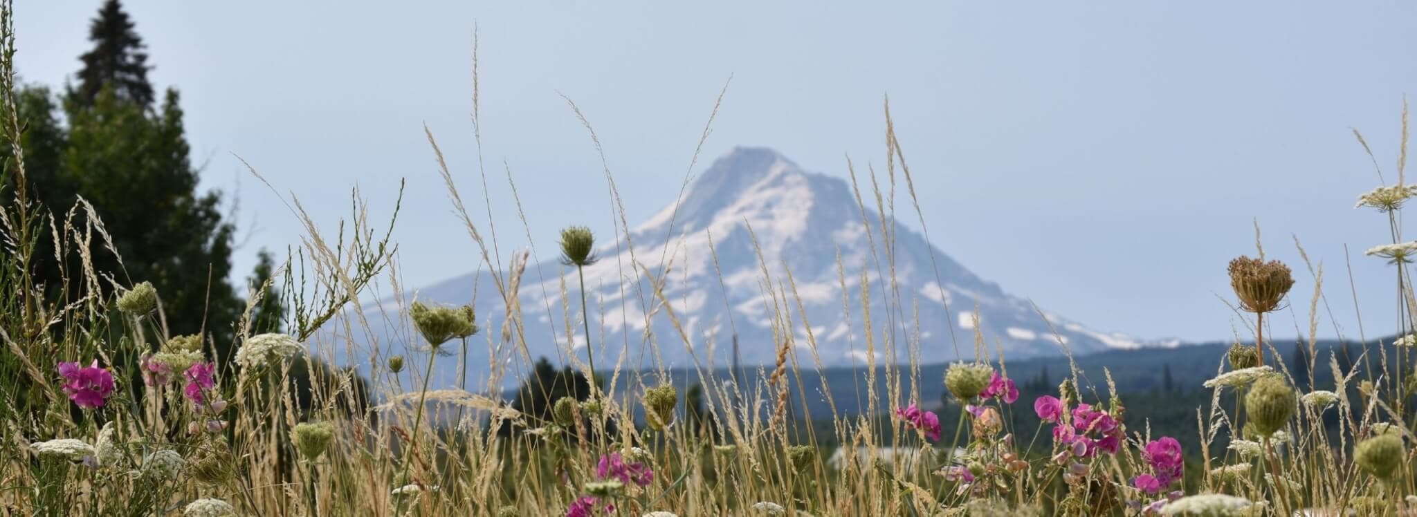 Scenic image of mountains Oregon.