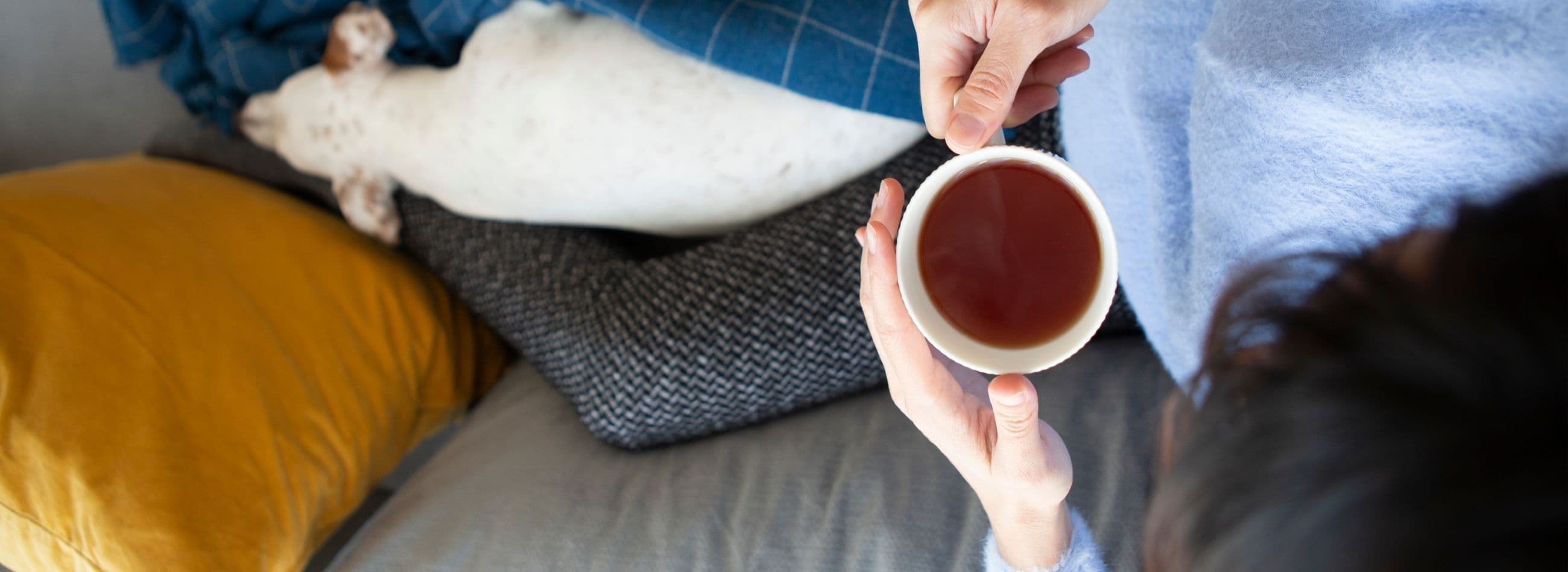 woman with tea and dog