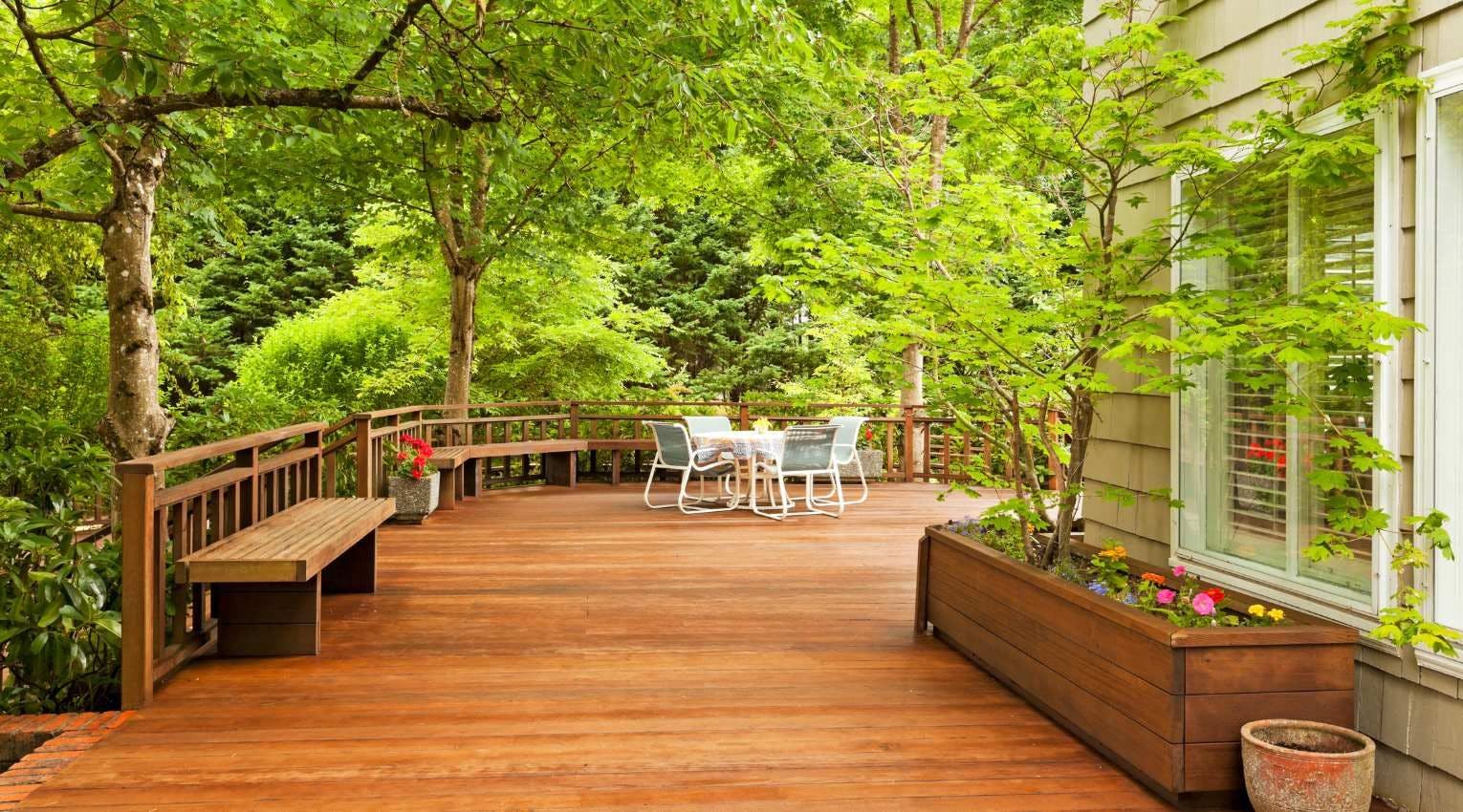 wooden deck surrounded by green shrubs and trees